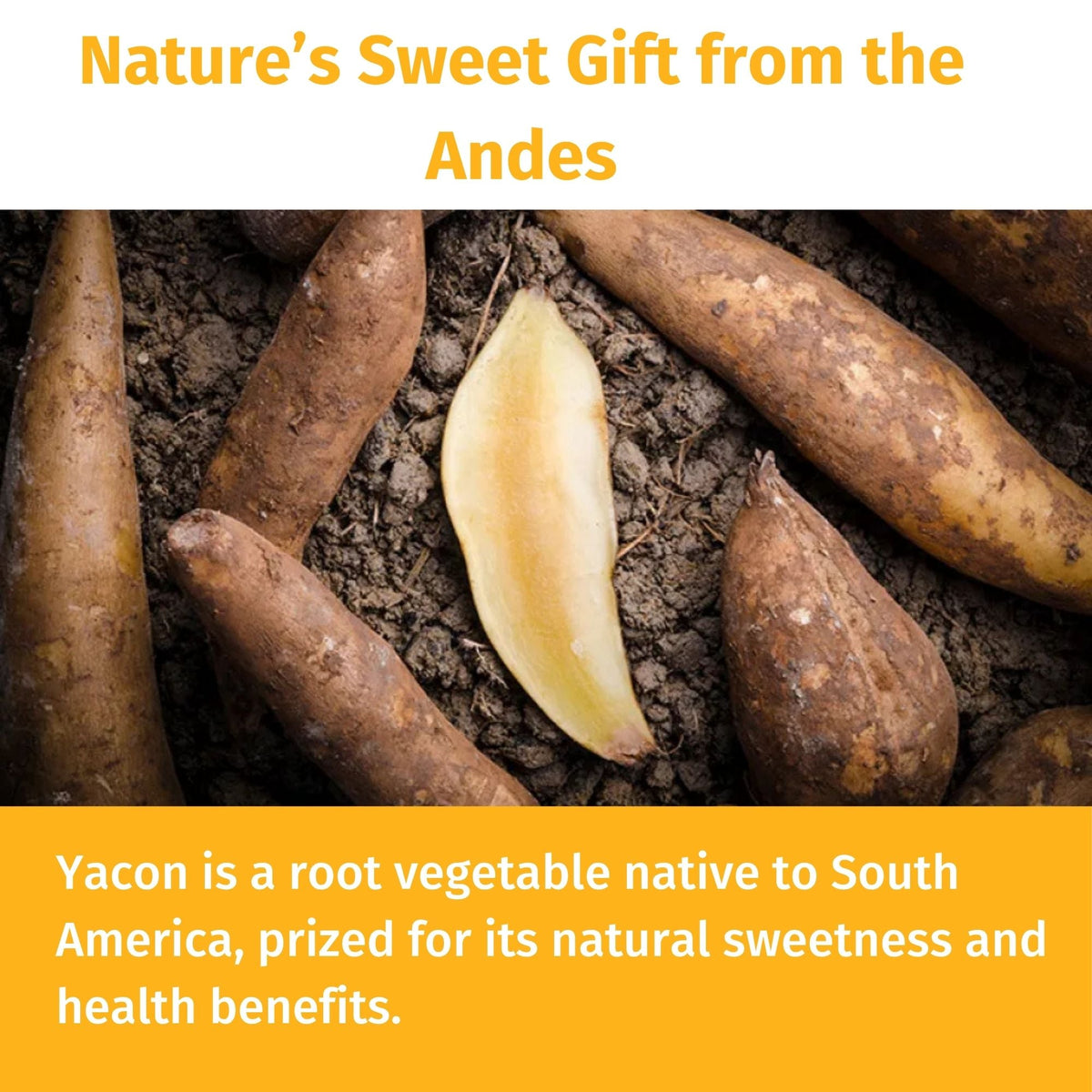 Organic Nepal Tea Yacon Syrup bottle with label, showcasing natural sweetener in a clear glass container on a neutral background.