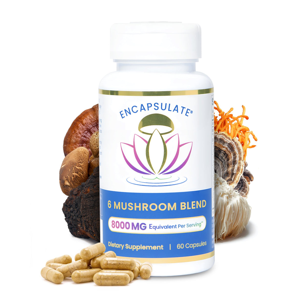 Bottle of Encapsulate 6 Mushroom Blend 8:1 supplement capsules in clear container with label visible