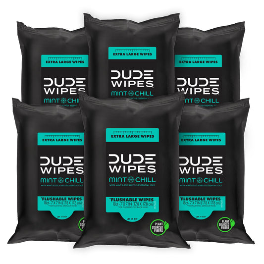 BACKUPMYFILESNOW.COM® DUDE Wipes flushable travel pack with 6 large adult wet wipes, mint scent, vitamin E, aloe vera, eucalyptus, tea tree oils