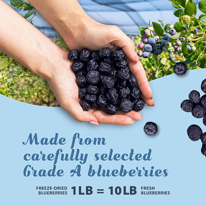 Freeze-dried Grade A blueberries by VFD.US, single-ingredient snack with vibrant blue color and fresh blueberry appearance.