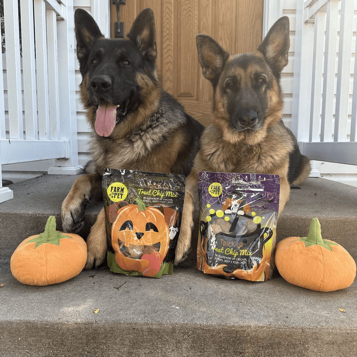 Farm To Pet Halloween dog treat chips with fun trick-or-treat themed packaging and festive orange and black colors.