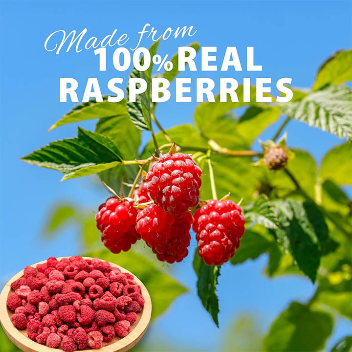 Whole grade A freeze-dried raspberries from VFD.US, showing fresh raspberries on the farm.