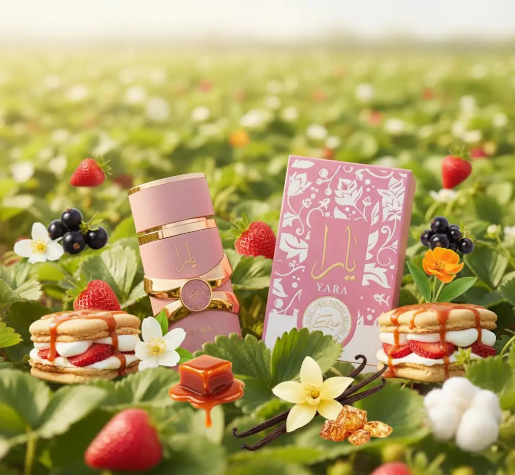 Lattafa Yara Elixir Eau De Parfum 100ml bottle with elegant packaging, showcasing a luxurious fragrance by Blushimmer.