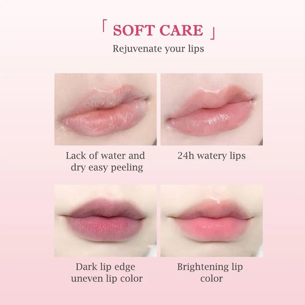 Blushimmer 6-piece natural fruit discolored lip balm set with color-changing, moisturizing, glossy lip tints and nourishing lipstick.