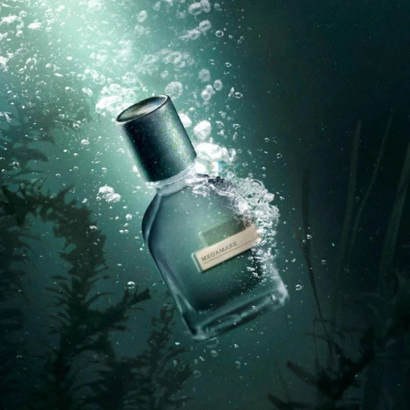 Luxury unisex perfume by Blushimmer, 50ml Eau De Parfum with woody, aquatic, aromatic, leather, and oriental fragrance options.