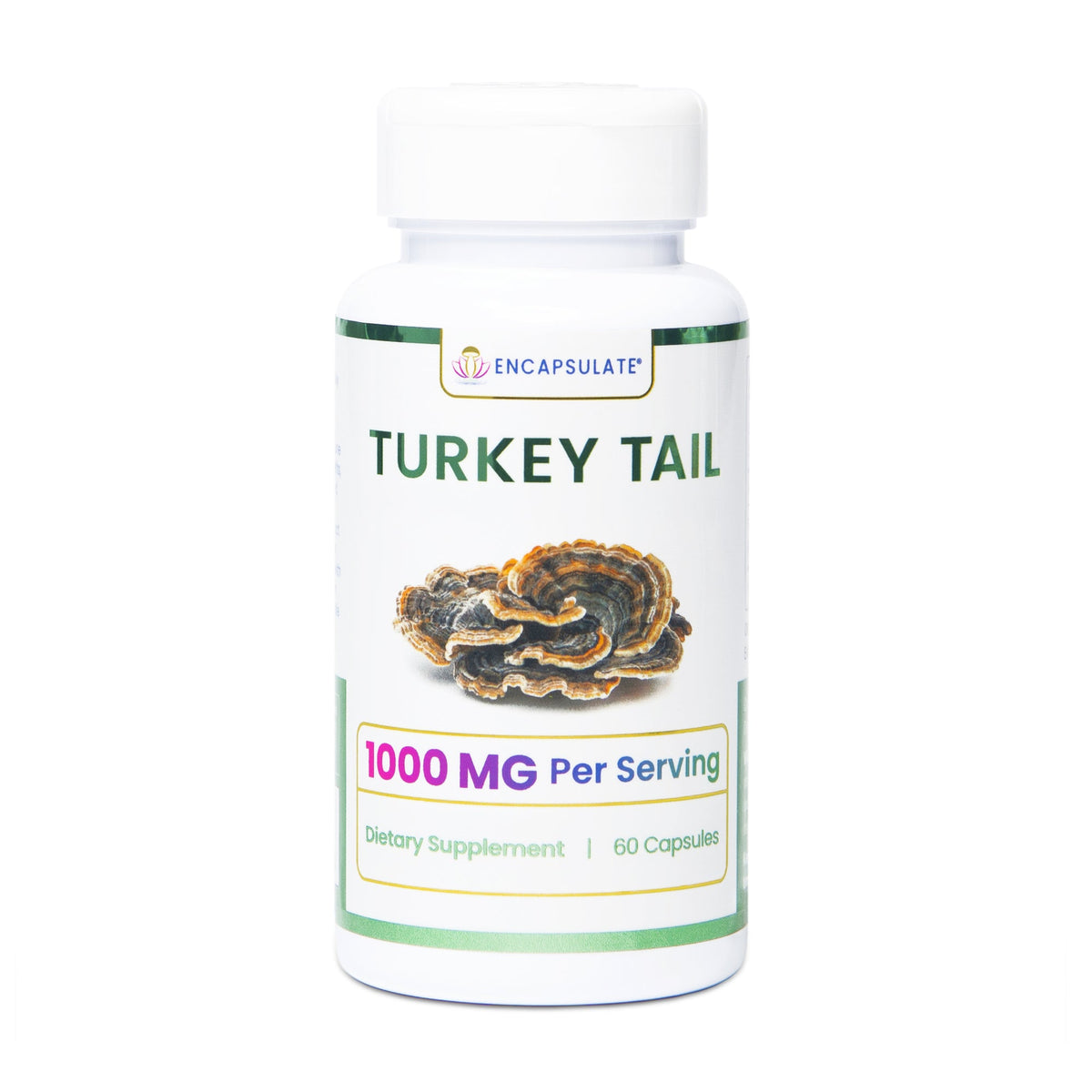 Encapsulate Turkey Tail Mushroom supplement capsules, showing the product shot with labels and capsules in clear view.