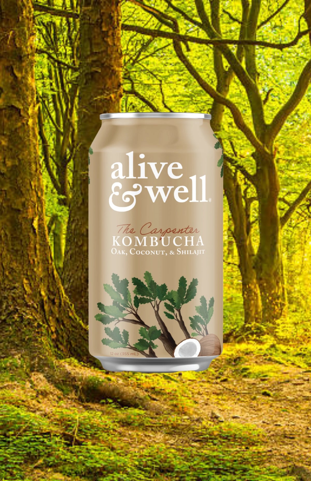 Organic Oak & Coconut Kombucha by Alive & Well, six bottles in a 6-pack, featuring a clear glass bottle with a colorful label.