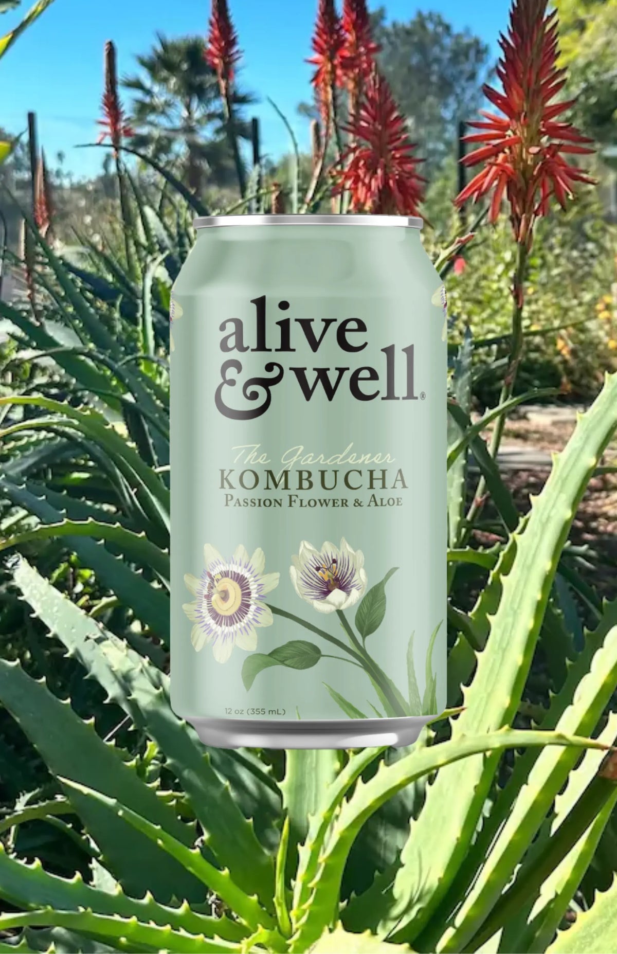 Organic Aloe & Passion Flower Kombucha by Alive & Well in a 6-pack, showing bottles with vibrant labels and fresh ingredients.