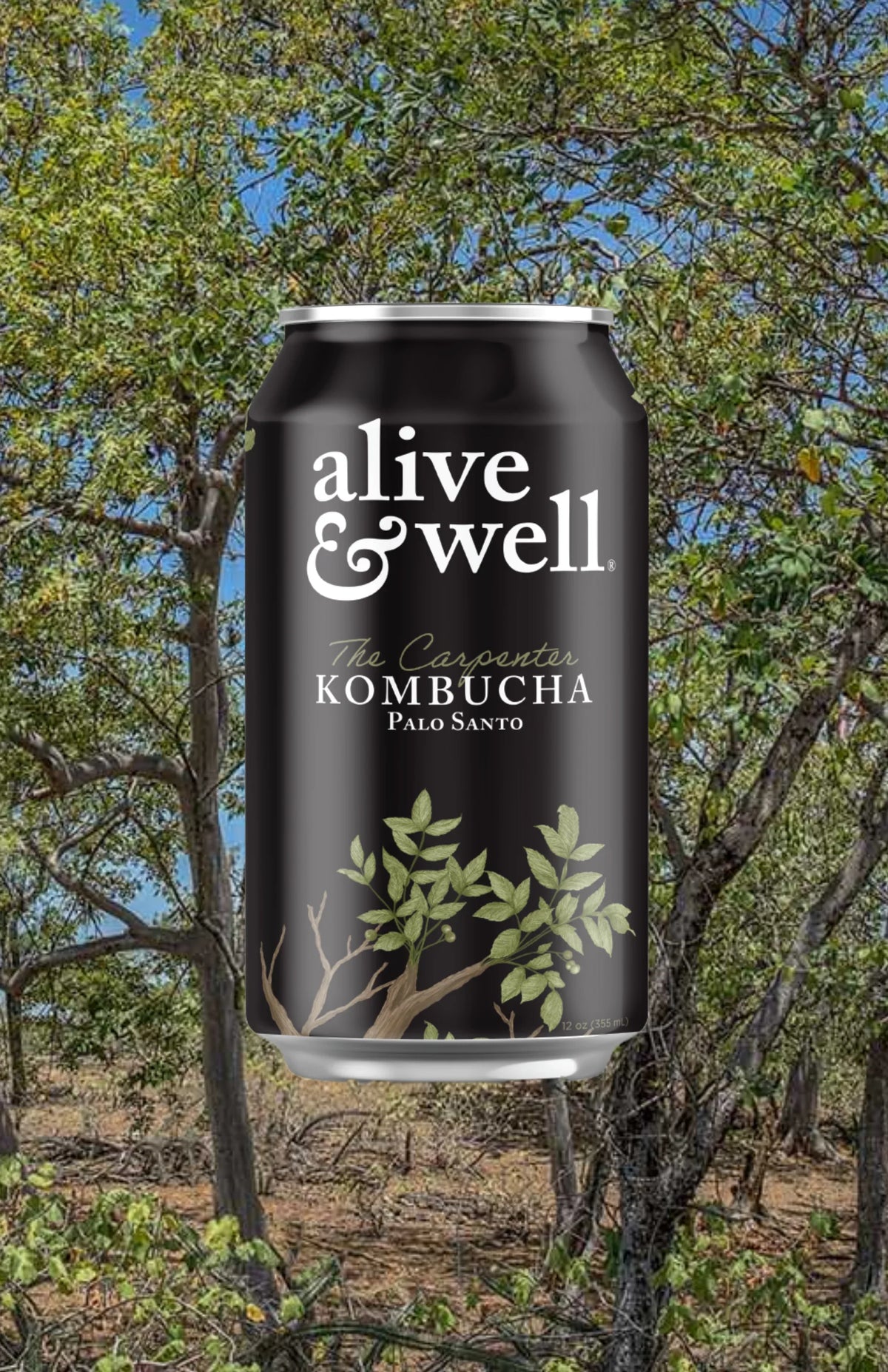 Alive & Well Kombucha Palo Santo flavor 6-pack featuring bottles with natural branding and wooden caps, showcasing a refreshing kombucha drink.