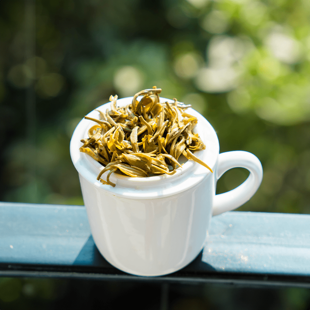 Fresh wet green tea leaves from Nepal Tea's Organic Farmers' Green tea, showcasing vibrant, freshly harvested tea leaves.