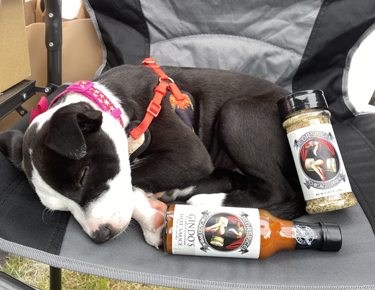 Bottle of Corspice K9 for Vets Chicago Prime Hot Sauce with label visible, showcasing the spicy sauce product.
