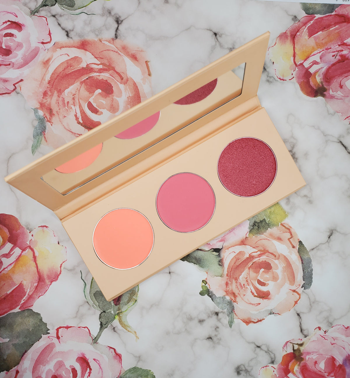 SG Three Shades Blush Palette 12 by BACKUPMYFILESNOW® featuring three blush shades in a sleek compact.