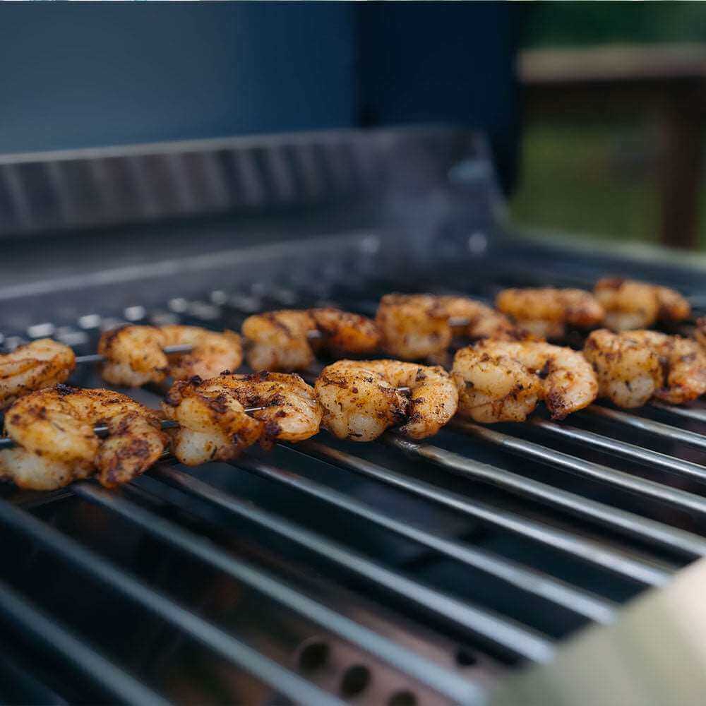 Stainless G22 Tabletop Propane Gas Grill by Monument Grills with cooking grates and control knobs, perfect for outdoor grilling.