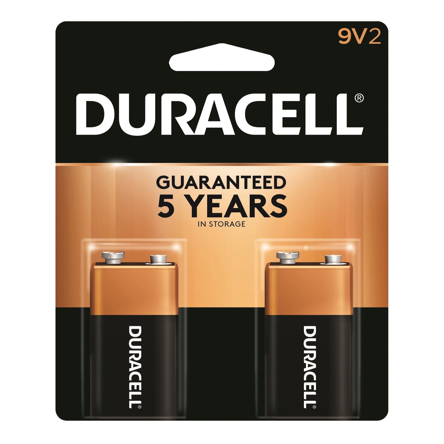 Duracell Coppertop 9V alkaline batteries, 2-pack, standard size, with black and copper-colored packaging.