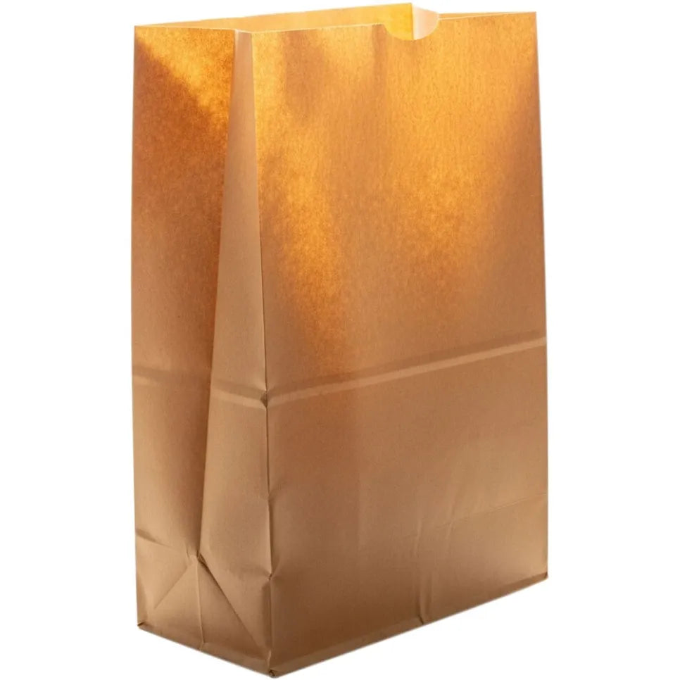 Leader Paper Flat Bottom Sack, 12x7x17 inches, by Pasteur Pharmacy, 500-count bread bags with sturdy paper construction.