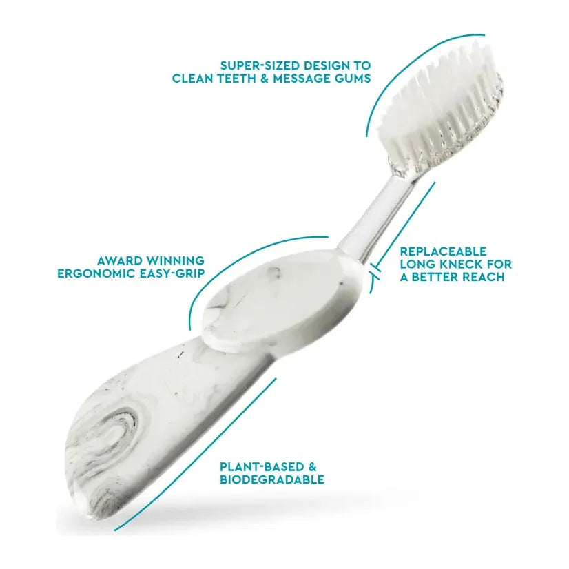 Radius Big Brush replaceable soft head left-hand toothbrush in assorted colors, designed by Pasteur Pharmacy for gentle cleaning.