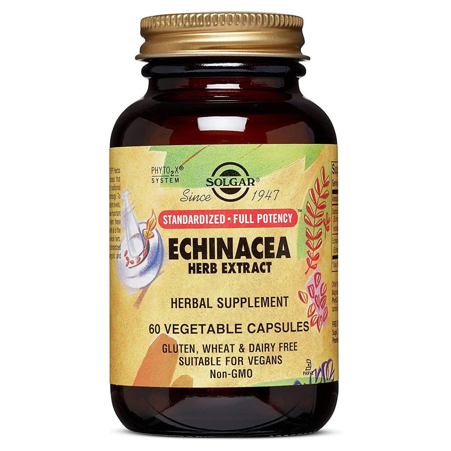 Solgar Echinacea Herb Extract supplement in 60 vegetable capsules, natural herbal immune support from Pasteur Pharmacy.