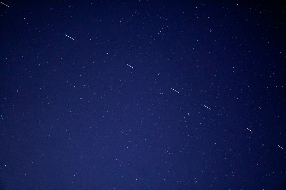 birds flying in the sky during night time