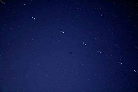birds flying in the sky during night time