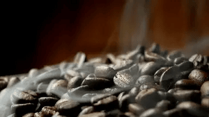 Everyday Food & Coffee Essentials Collection - BACKUPMYFILESNOW.COM®