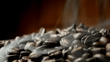 Everyday Food & Coffee Essentials Collection - BACKUPMYFILESNOW.COM®