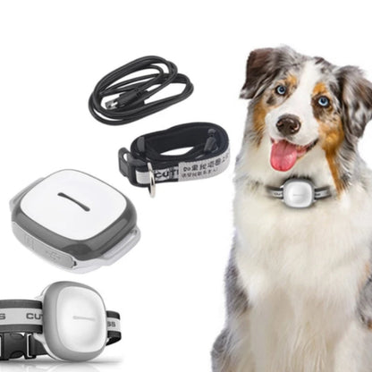 Collared cat and dog tracker pet locator device by My Store