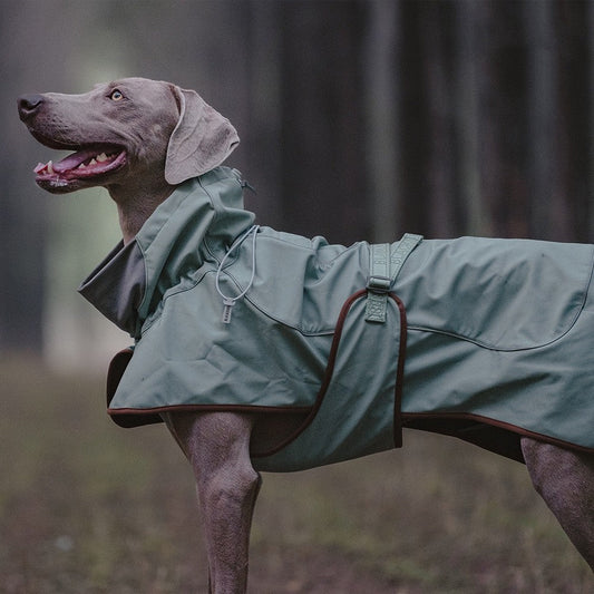 Outdoor soft shell waterproof windproof warm dog jacket in durable fabric