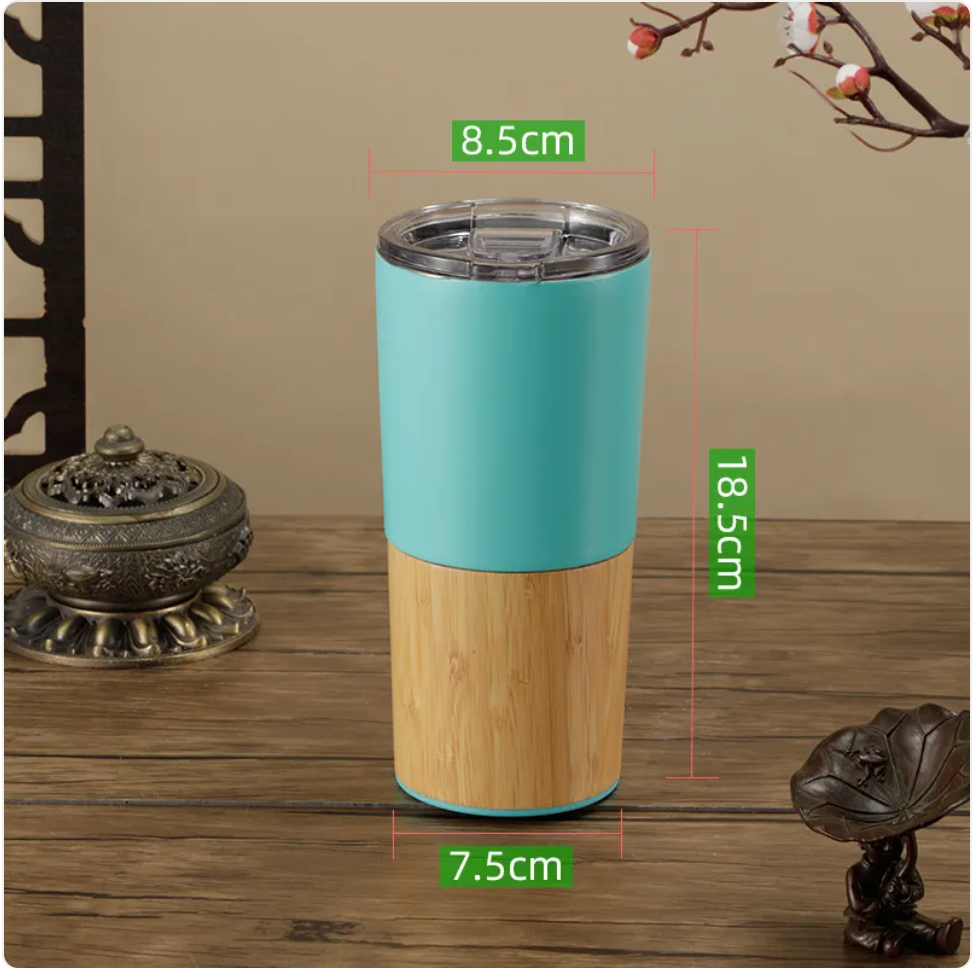 Stainless Steel Insulated Water Bottle