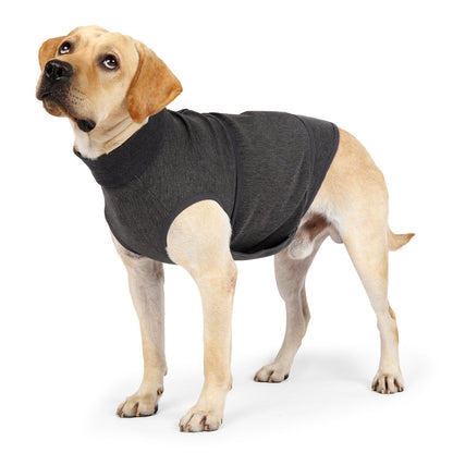 Pet polyester emotional comfort cotton double jacket clothes in assorted colors.