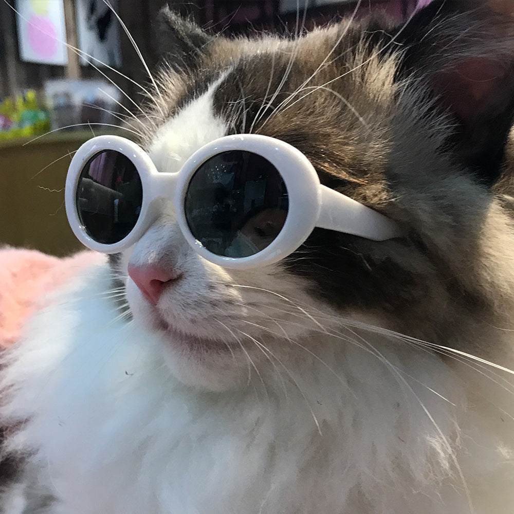 Pet dog cat multi-color sunglasses, cool accessory in a playful design