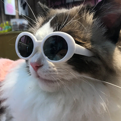 Pet dog cat multi-color sunglasses, cool accessory in a playful design