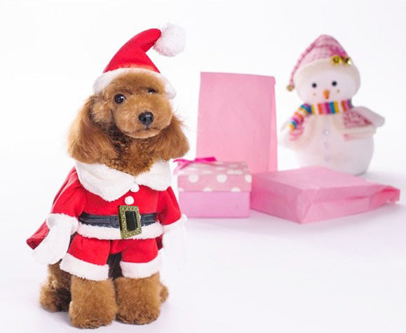 Christmas dog sweatshirt clothes by My Store, festive pet apparel shown from the front