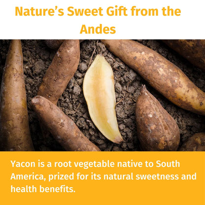 Organic Nepal Tea Yacon Syrup bottle with label, showcasing natural sweetener in a clear glass container on a neutral background.