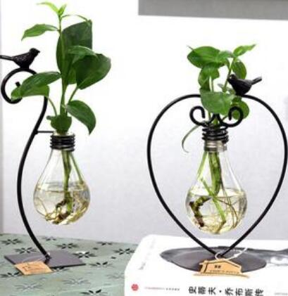 Hydroponic glass plant vessel with steel stand for indoor green plants