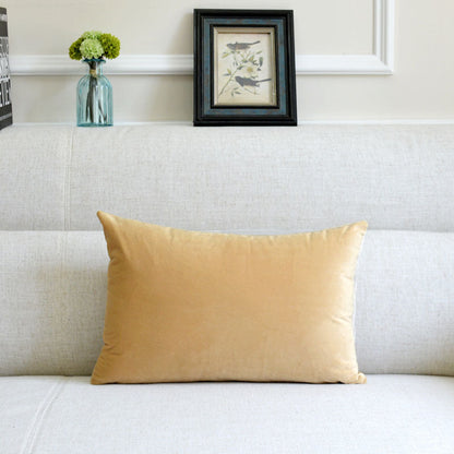 Velvet throw pillow for sofa in a soft fabric design
