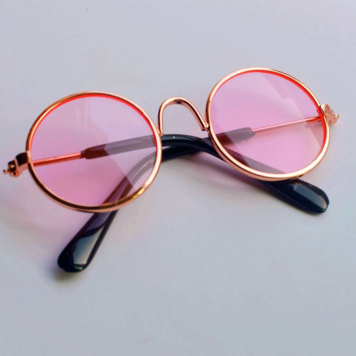 Pet photo glasses for dogs and cats, clear novelty eyewear shown on a plain background