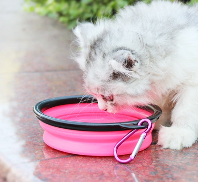2-in-1 pet water bottle dispenser with silicone bowl for portable dog and cat drinking during travel