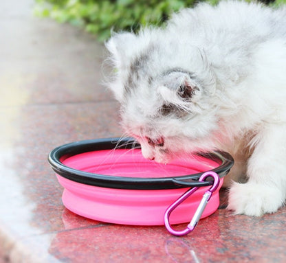 2-in-1 pet water bottle dispenser with silicone bowl for portable dog and cat drinking during travel