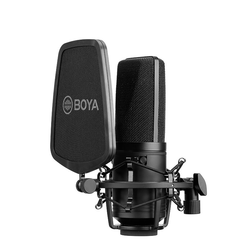 Large diaphragm condenser microphone for computer and K song recording by My Store