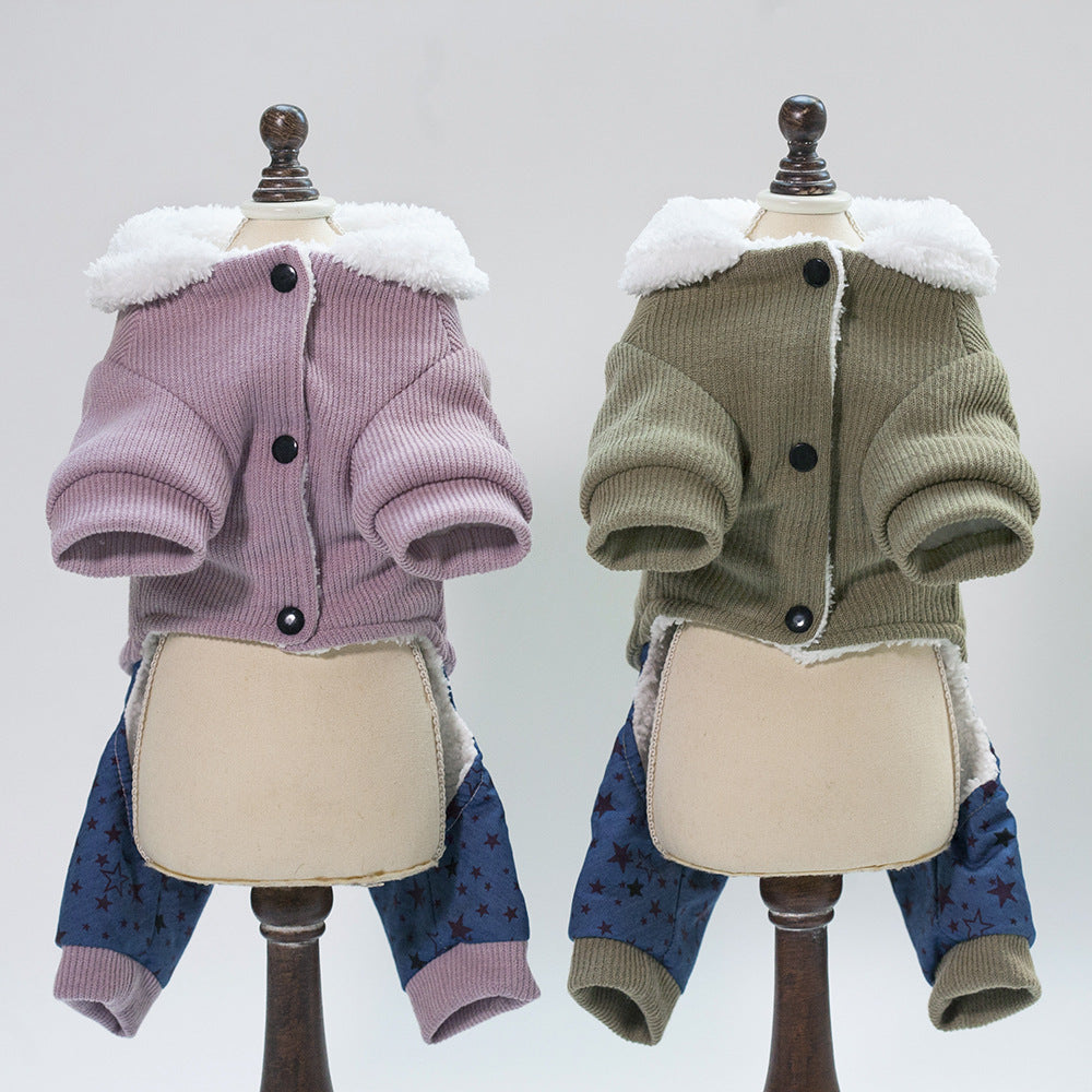 Bone clothes pet clothing displayed for pets