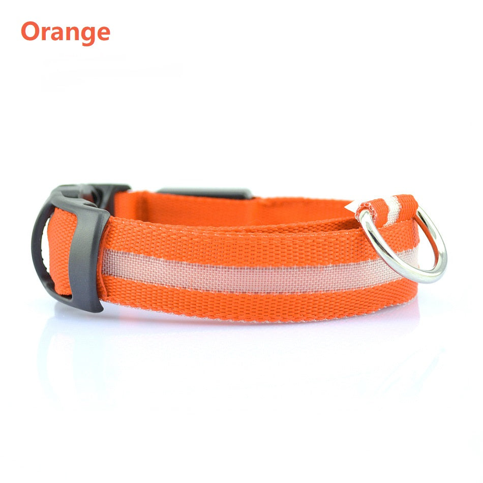 Safety Dog LED Collar by My Store, glowing LED light visible around the dog’s neck