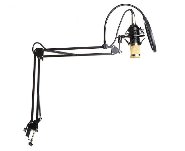 BM800 microphone set with adjustable stand and pop filter for studio recording