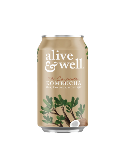 Organic Oak & Coconut Kombucha by Alive & Well, 6-pack, showing bottles with labels and a fresh, natural setting