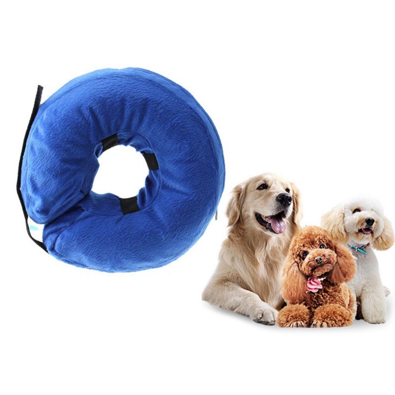 PVC inflatable dog collar for anti-bite and anti-lick protection, shown in a soft protective design