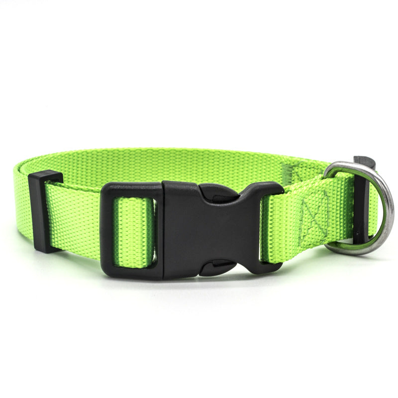 New pet collar by My Store, adjustable design shown against a clean background