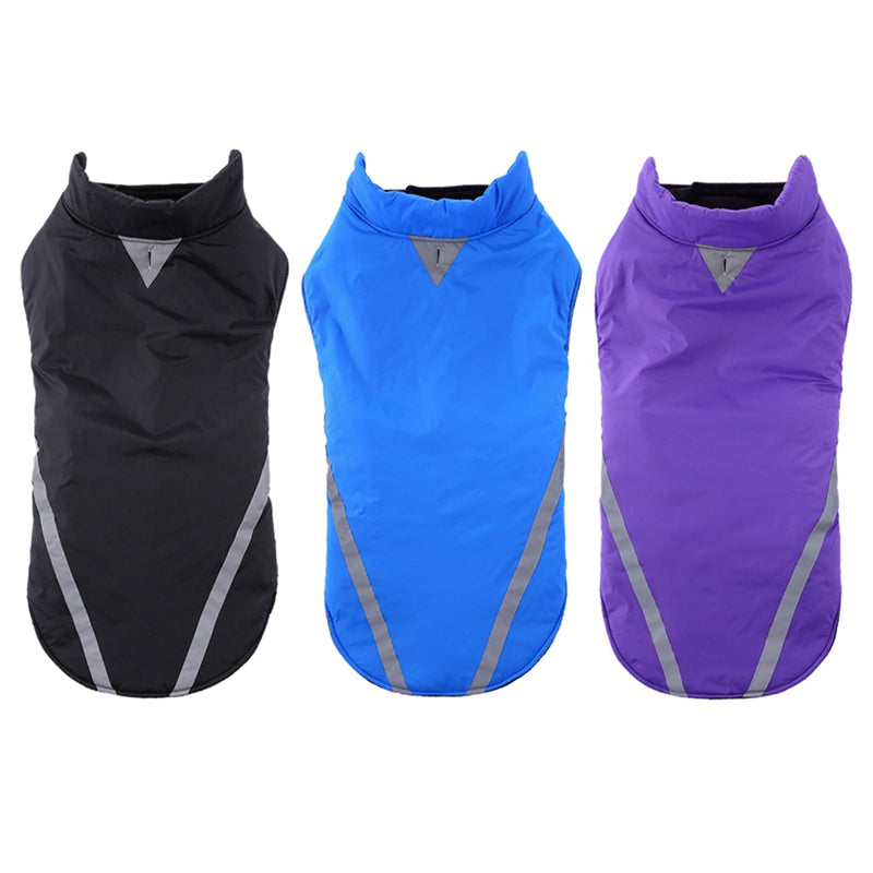 Large dog jacket pet clothing by My Store displayed on a dog