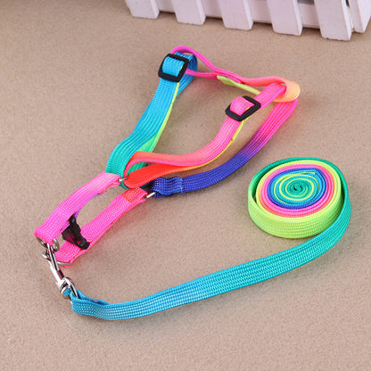 Colorful leashes by My Store displayed in assorted vibrant shades