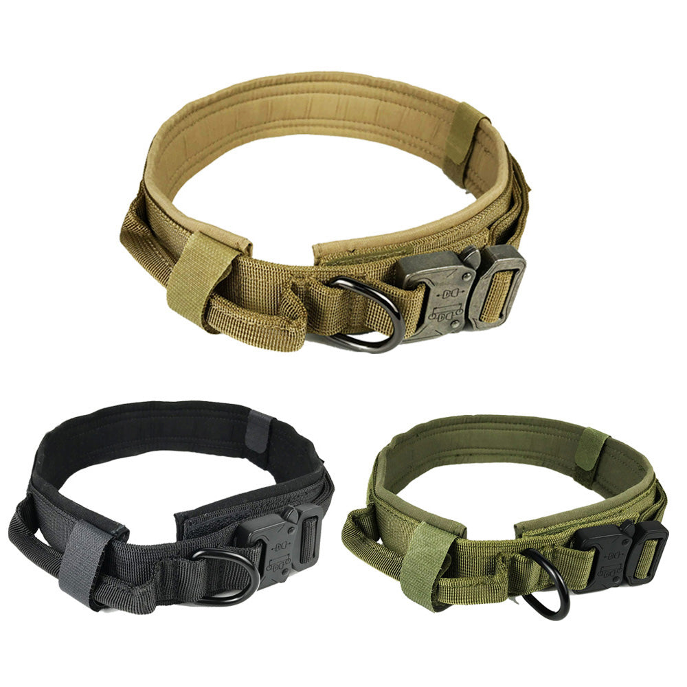 Dog collar by My Store, visible in a close-up product image