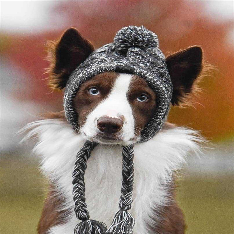 Pet dog wearing an autumn and winter woolen hat from My Store