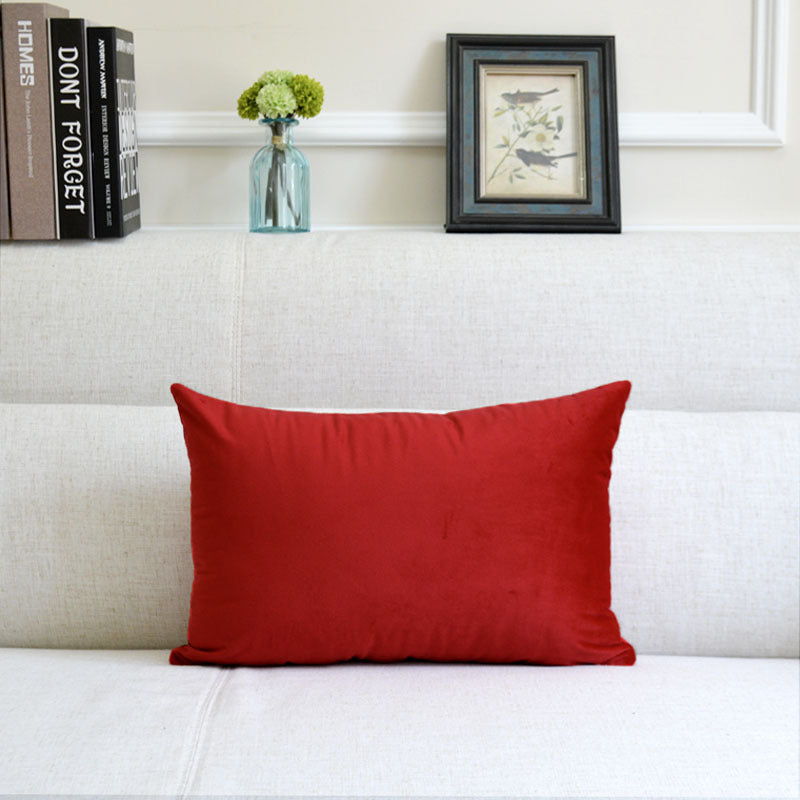Velvet throw pillow for sofa in a soft, textured fabric finish